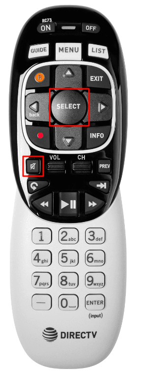 MUTE and SELECT buttons on RC73 remote