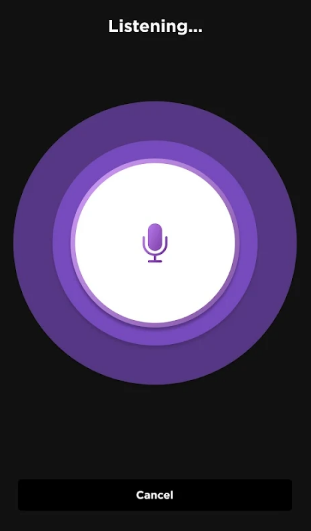 Roku app voice command