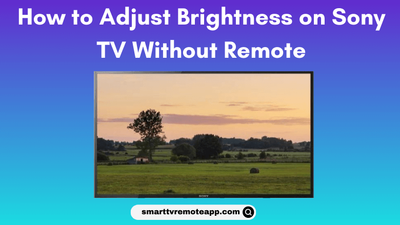 How to Adjust Brightness on Sony TV Without Remote