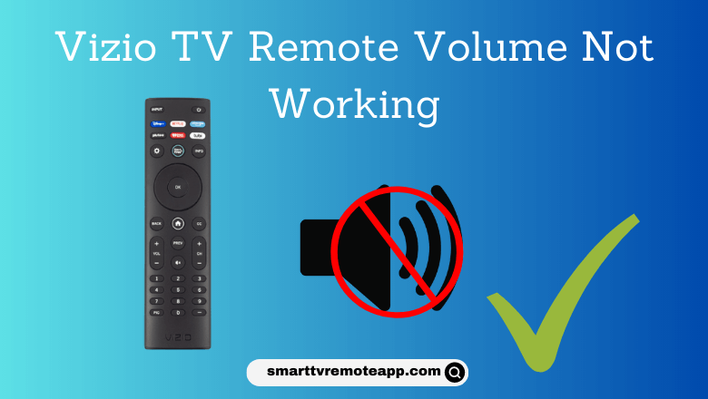 Vizio TV Remote Volume Not Working