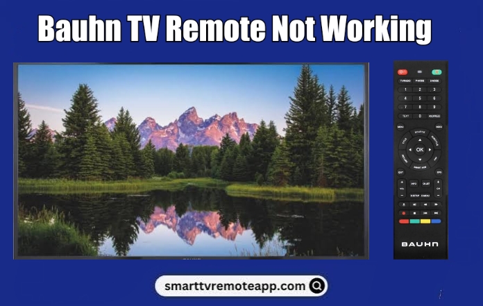  Bauhn TV Remote Not Working | Reasons and DIY Fixes