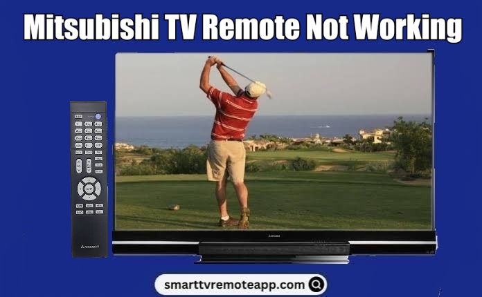 Mitsubishi TV Remote Not Working