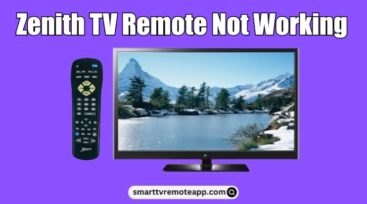 Zenith TV Remote Not Working